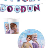 Çok Renkli  Frozen ve Elsa Temalı 3'lü Parti Seti