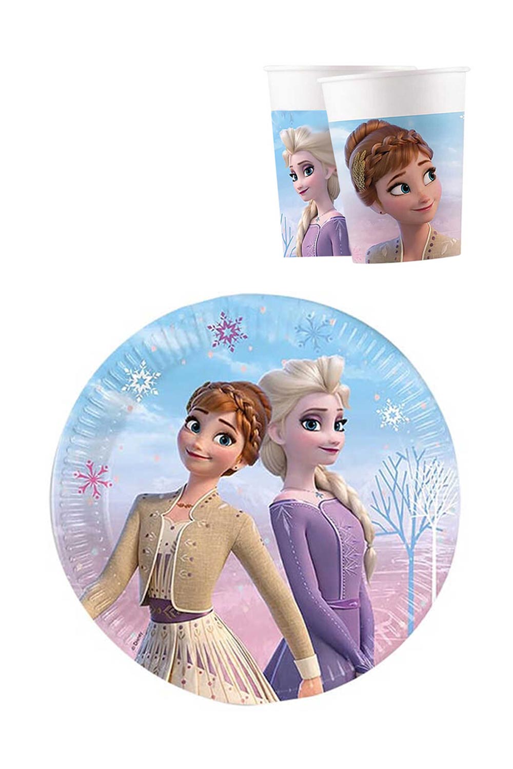 Çok Renkli  Frozen ve Elsa Temalı 3'lü Parti Seti