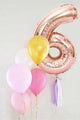 Rose 6 Number Tassel Balloon Set