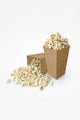 Brown Kraft Model 8-Piece Popcorn Box