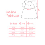 Somon  Fisto Yakalı Brode Kız Bebek Elbise - Holly