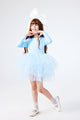 Blue Tutu Skirt Girls Ballerina Dress - Miranda