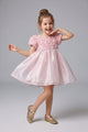 Dusty Rose Detailed Tulle Skirted Girl's Dress - Nelia