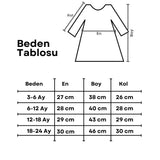 Pembe  Yıldız Detaylı Kız Bebek Tül Elbise - Vanessa